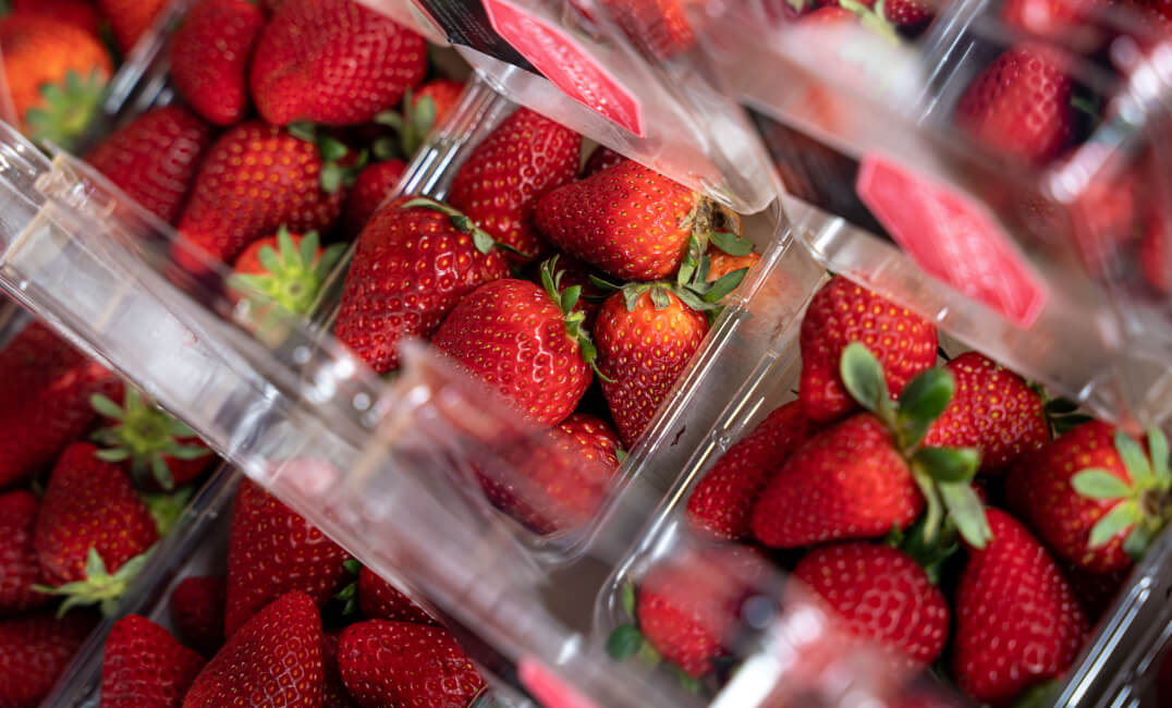 <b>Market Report</b>