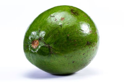Reed Avocado