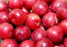 Plums small