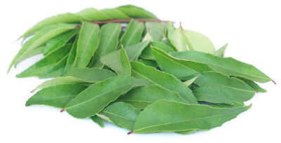 Curry leaf