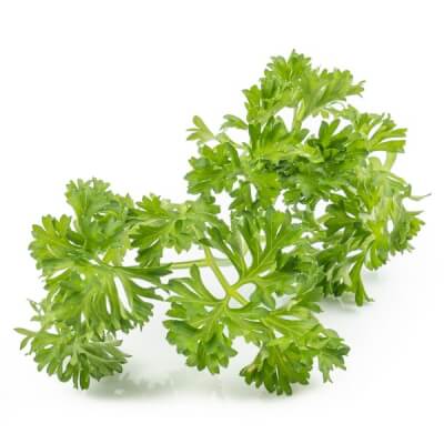 Parsley (curly)