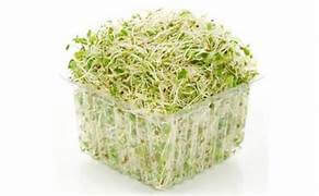 Alfalfa (Mixed) (variety of flavours )