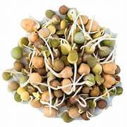 Combo Sprouts
