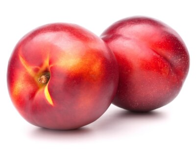 Nectarine White (Large)