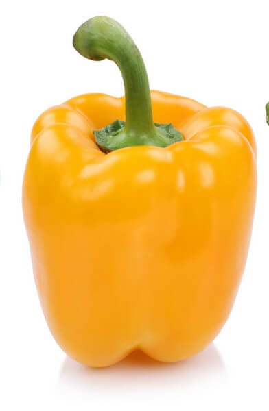 Capsicum (Yellow)