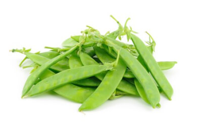 Snow Pea Shoot