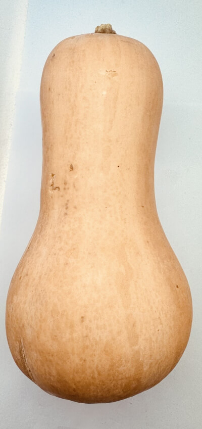 Butternut Small Size