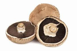 Mushrooms (Portabello)