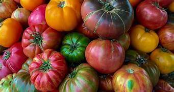 Tomatoes (LRG Heirloom)