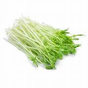 Snow Pea Shoot