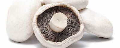 Mushroom Flat