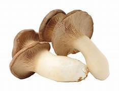 Mushrooms (King Brown)