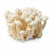 Mushroom (Shimeji)